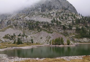 Trail Walking Saint-Martin-Vésubie - lac de Trecolpas - Photo