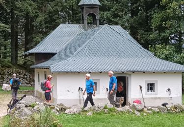 Excursión Carrera Bussang - Larcenaire - Photo