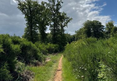 Tour Nordic Walking Habscht - Grande boucle Clairfontaine - Photo