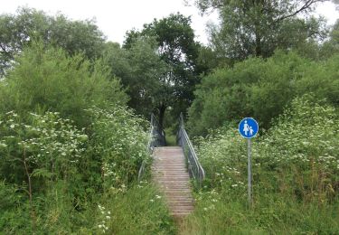 Percorso A piedi Schönberg - Nessenbach-Runde - Photo