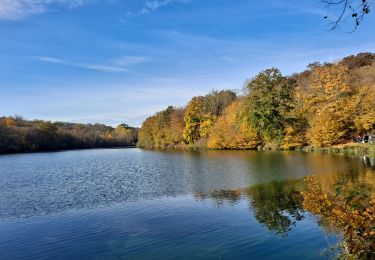 Tour Wandern Versailles - Étangs de la Minière  - Photo