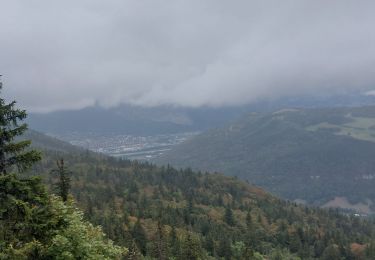 Trail Walking Engins - tour 4 montagnes 1 - Photo