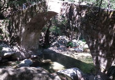 Tour Wandern Évisa - gorges spelunca - Photo