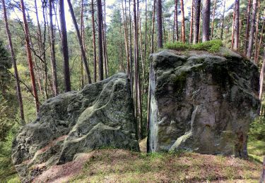 Tocht Te voet Eckersdorf - Mistelbach Rundwanderweg 