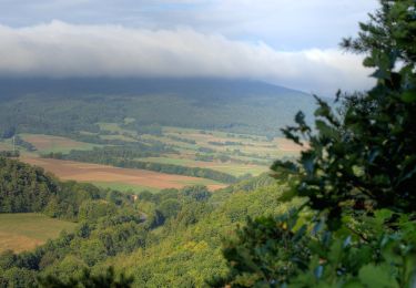 Percorso A piedi Meißner - Kupferbachtal und Wellingeröder Höhe - Photo