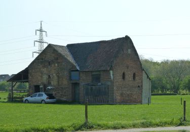 Percorso A piedi Beek - Vrouwenbosroute - Photo