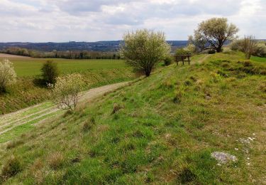 Randonnée A pied La Chaussée-Tirancourt - La Vallée d'Acon - Photo