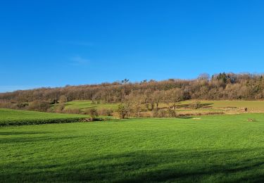 Tour Wandern Ferrières - Marche ADEPS Vieuxville - Photo