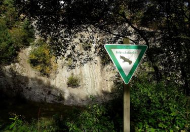 Tour Zu Fuß Sundern - Hellefeld Rundweg H1 - Photo