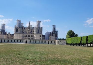 Excursión Senderismo Chambord - chambord - Photo