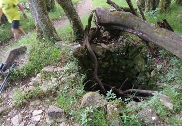 Trail Walking Courmes - Courmes, Plateau de St Barnabé, le Champ des Idoles - Photo