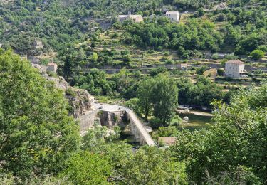 Tocht Stappen Pied-de-Borne - au dessus de borne et les Aydons - Photo