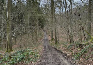 Tocht Stappen Anthisnes - Marche Adeps Hody 10km - Photo