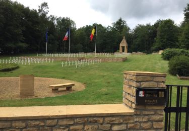 Randonnée Marche Tintigny - Entre Gaume et Ardennes  - Photo