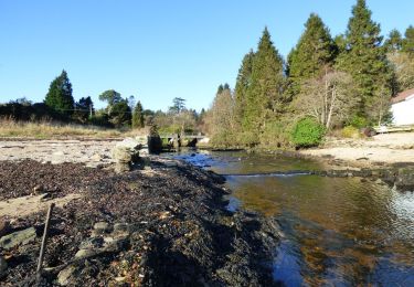 Percorso A piedi  - Laird's Trail - Photo