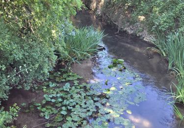 Randonnée Marche Bras - Bras le long du Cauron - Photo