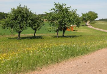 Randonnée A pied Mühlenbach - Panoramaweg Mühlenbach große Runde - Photo