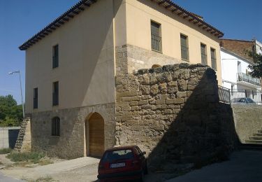 Excursión A pie Torres de Segre - Camí Natural del Riu Segre i Embassament d'Utxesa - Photo