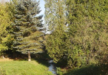 Tocht Te voet Sankt Ingbert - Schnepfe-Rundwanderweg - Photo