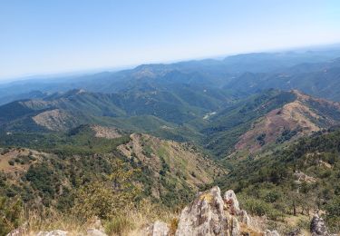 Tocht Stappen Val-d'Aigoual - serreyrede à l aigoual par arboretum - Photo