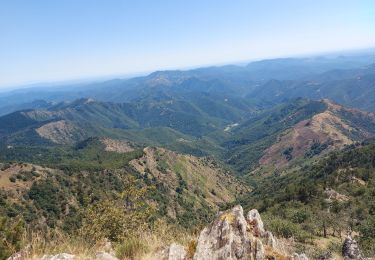 Tour Wandern Val-d'Aigoual - serreyrede à l aigoual par arboretum - Photo