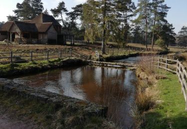 Tour Wandern Peyrelevade - Fred en passant par Vinzanet - Photo