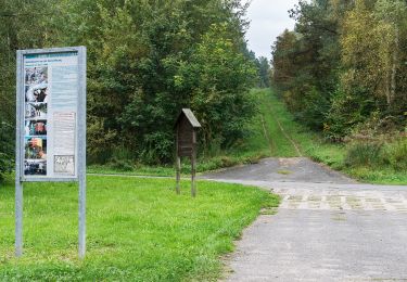 Randonnée A pied Beendorf - Lappwald Rundwanderweg 19 - Photo