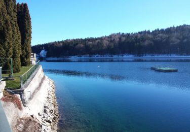 Tour Zu Fuß  - Lo 7 Schwarzecker Rundweg (Lohberg) - Photo