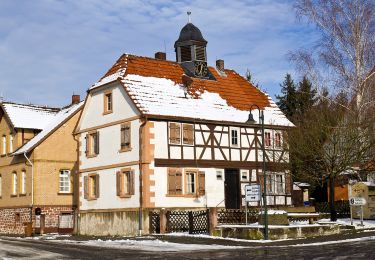 Randonnée A pied Hasselroth - Spessartspuren - Neuenhaßlauer Ysenburg-Runde - Photo