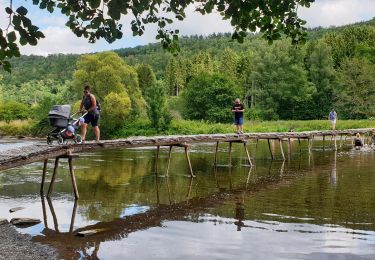 Tocht Stappen Vresse-sur-Semois - Balade à Chairière - Vresse sur Semois - Photo