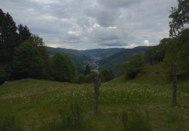 Trail Walking Cornimont - LE HAUT DU ROC JUIN 2020 - 8 JUIN 2020 - Photo
