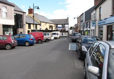 Trail On foot The Municipal District of Dundalk - Carlingford - Slieve Foye Mountain Loop - Photo