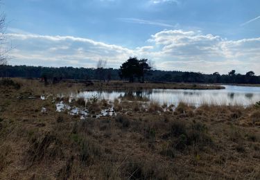 Trail Walking Kalmthout - Kalmthout bis 20 km - Photo