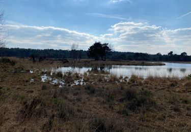 Excursión Senderismo Kalmthout - Kalmthout bis 20 km - Photo