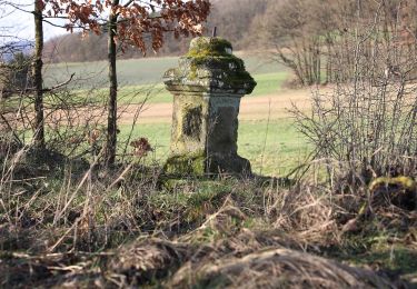 Tour Zu Fuß Bad Staffelstein - Püchitzer Transversale - Photo