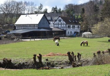 Randonnée A pied Niedert - Traumschleife Oberes Baybachtal - Photo