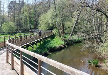Trail Walking Muzillac - PR_56_Muzillac_CA_03_Tour-Etang-Pen-Mur_Circuit1b_20250405 - Photo