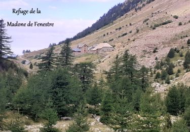 Tocht Stappen Saint-Martin-Vésubie - Boucle Les lacs de Prals par la cime de la Vallette - Photo