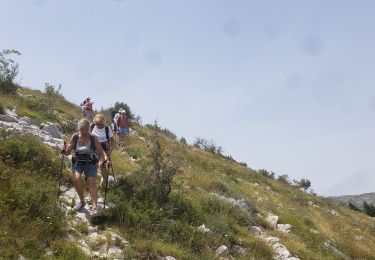 Percorso Marcia Andon - Les  Lys Pomponne de la montagne de Thiey - Photo