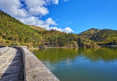 Percorso A piedi Bosio - Sentiero Ponte Nespolo - Lago Bruno - Photo