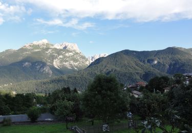 Tocht Te voet Domegge di Cadore - IT-264 - Photo