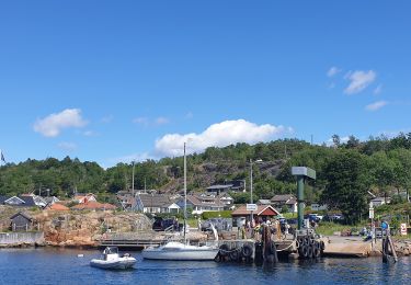 Tour Zu Fuß  - Alternative Vestfoldveien Larvik-Tønsberg - Photo