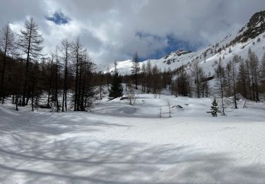 Tocht Sneeuwschoenen Entraunes - Pointe du Génépi  - Photo