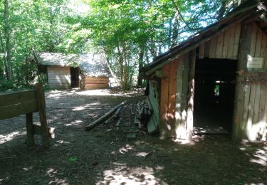 Trail Walking Manhay - CLERHEYD  - Photo