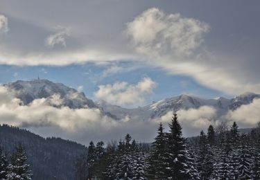 Percorso A piedi Azuga - Păstrăvărie Valea Azugii - sub Clăbucetul Azugii - Drumul lui Ceaușescu - Photo