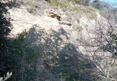 Trail Walking Bédarrides - Bedarrides sur les hauteurs - Photo