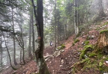 Trail Walking Saint-Pierre-de-Chartreuse - Circuit autour de Pravouta (Saint Hilaire du Touvet) - Photo