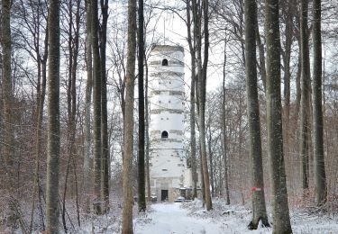 Tocht Te voet Gomadingen - P Gestütshof St. Johann Rundwanderweg 4 - Photo