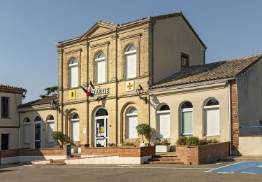 Tour Zu Fuß Montjoire - Balade panoramique autour de Montjoire - Photo