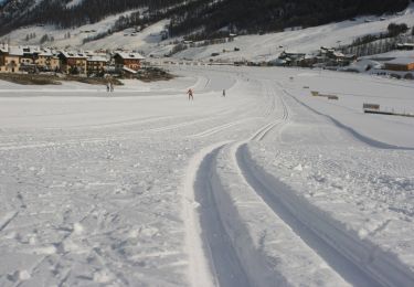 Excursión A pie Valdidentro - (SI D33N) Rifugio Val Viola - Livigno - Photo